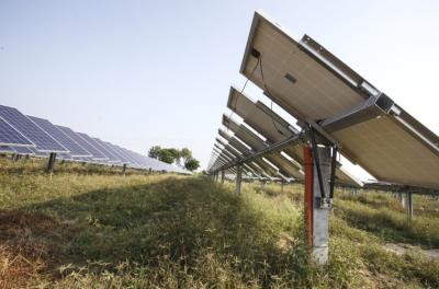 中国 太陽農場の土台システム1mw光起電農業の構造の太陽農場ブラケット 販売のため