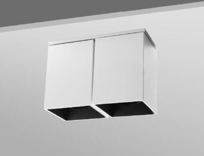 China IP44 Double Head LED Ceiling Light 20W Surface Mounted Downlight LED Spotlights for sale