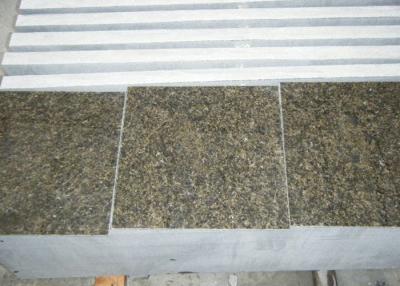 China 24 X 24 Labrador Green Granite Natural Stone Tile Backsplash For Kitchen for sale