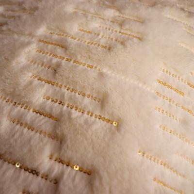 Cina Stylish False Fur Throw Blanket Non usa e getta di lusso ricamato Minky Throw Coperte in vendita