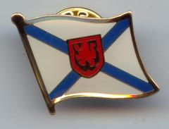 China pin badges, lapel pin, football pin, emblem, enamel badge, printing badge, plating bagde for sale
