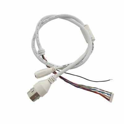 China MX1.25 10 Pin IP Camera Cable RJ45 Chassis DC*5.5*2.1 IP Camera Tail Cable 011 for sale