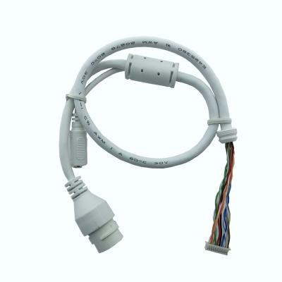 China Außenkameras Ethernet-Kabel Mx1.25-10pin bis Rj45 Basis Dc5.5*2.1 Basisanschluss 019 zu verkaufen