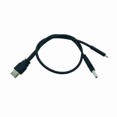 China AF2.0 Type C Charger Cables USB 2.0A Mother Type Bluetooth Audio Cable 410mm 097 for sale