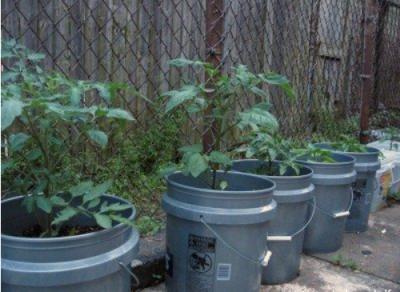 China 5 galões de recipientes de balde de plástico para plantação de jardim de vegetais à venda
