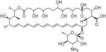 China Amphotericin B Sterile CAS NO.1397-89-3 C47H73NO17  Antibiotics for sale