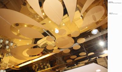 China Stainless Steel Ceiling Tiles , Panels , Systems , Creative Design Art for sale
