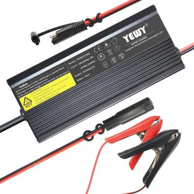 China 6A 36V Intelligent Lead Acid Battery Charger Waterproof IP65 for sale