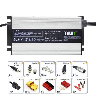 Chine chargeur d'acide de plomb d'alimentation d'énergie de chargeur de batterie de 20A 25A 28A 24V Lipo à vendre