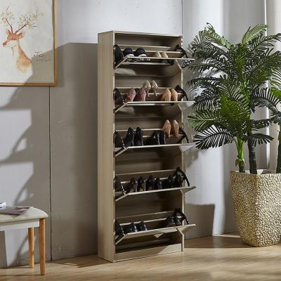 China 50 Pairs Shoe Organizer With Mirror for sale