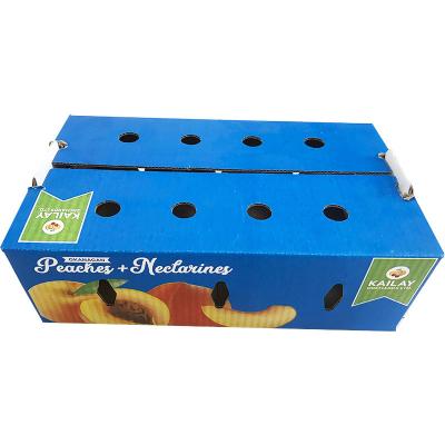 China Apple Cardboard Fruit Boxes Pear Tomato Vegetables Customized Size Health Consistency for sale