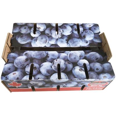 China Single Wall Recycled Materials Cardboard Fruit Boxes , Apple Carton Box for sale