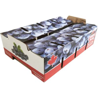 China Tomato Fruit Carton Box Vegetable Packaging Box Easy Operation For Farm for sale