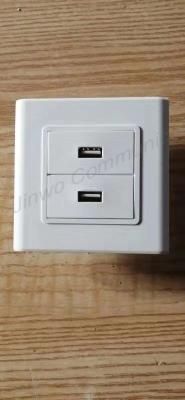 China Wall Mounted 2 Ports Network Faceplate Telecommunication for sale