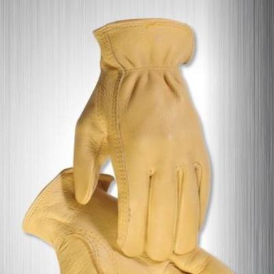 China leather glove for deer/cow leather glove for sale