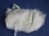 China carpet grade raw wool,sheep wool waste,lambswool waste,cashmere carding waste for sale