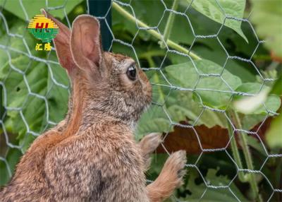 China Poultry Rabbit Chicken Vinyl Coated Hex Netting Low Carbon Iron Wire for sale