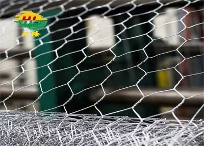 China Pvc Coating 0.4mm-2.0mm Hexagonal Poultry Netting For Animal Enclosure zu verkaufen