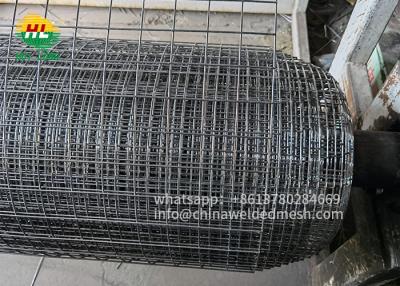 China 25 Foot Welded Wire Mesh Rolls 1x1''  for Bird Screen Pigeon Guard for sale