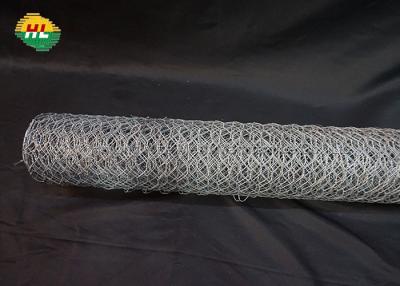 China 13.7x157 Inches Galvanised Chicken Wire Light Weight for poultry yards for sale