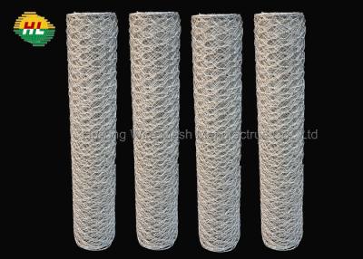 China Lightweight Hexagonal Wire Netting Galvanized For Craft Projects for sale