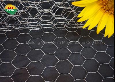China Easy Handle Hexagonal Wire Netting 197X15.7 Inch For Craft Projects for sale