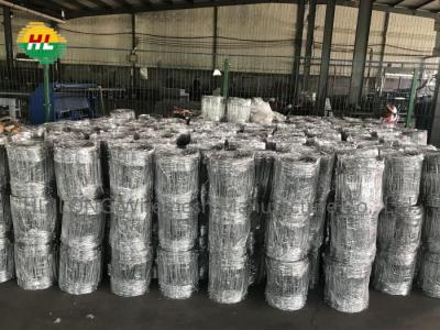 China High Galvanized Hinge Joint Wire Mesh Light Weight Q195 Carbon Steel for sale