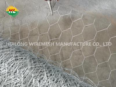 中国 電流を通された六角形の家禽の網の金網36インチX x 50フィートの1インチの網 販売のため