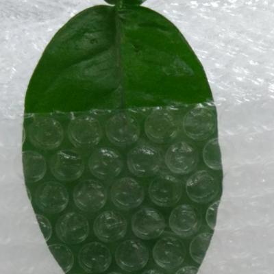 China Flexible Inflatable Bubble Wrap Bubble Protection For Secure Packaging en venta