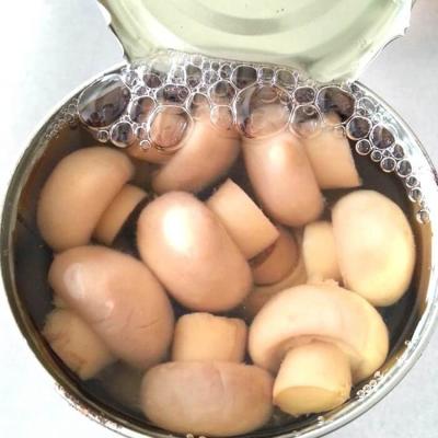 China Factory Price Premium Canned Button Mushroom Whole  in Brine (N.W.800G,D.W.400G) for sale