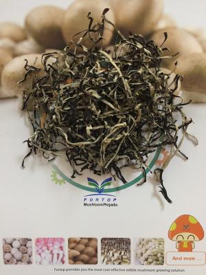 China Factory Price Dried White Back Black Fungus Slices AA Grade  with Natural Length for sale