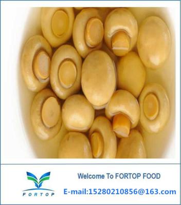 China Factory Price Premium Canned Buttom Mushroom Whole in Vinegar for sale