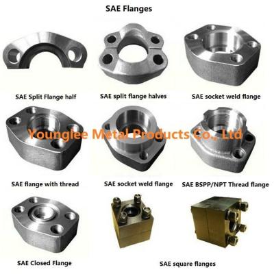 China SAE flanges to standard ISO 6162-1/2, SAE J518C, for hydraulic pipe connection for sale