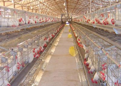 China Chicken cage for sale