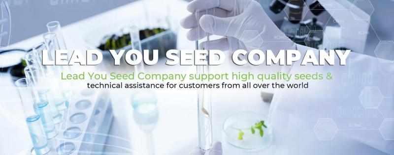Verified China supplier - Guangzhou Lead You Seed Co., Ltd