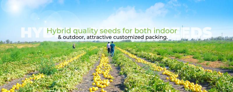 Verified China supplier - Guangzhou Lead You Seed Co., Ltd