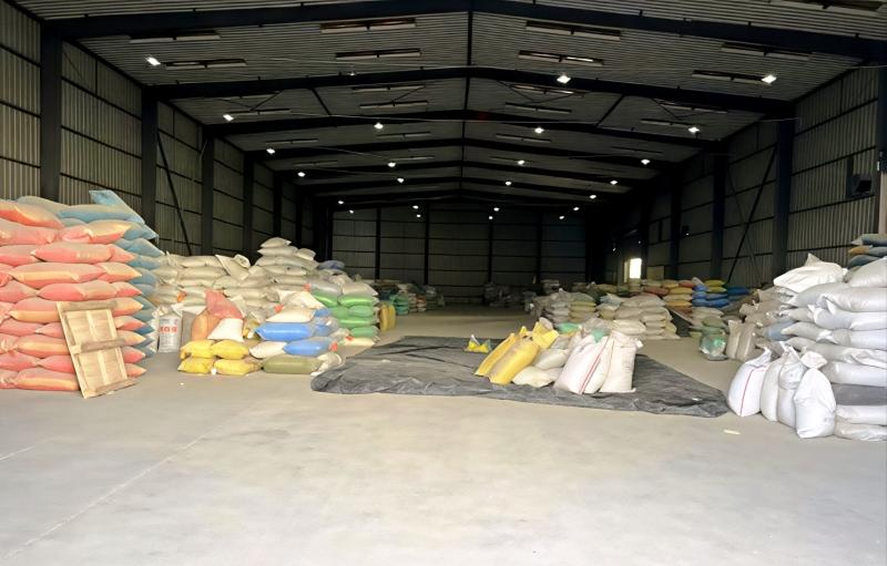 Verified China supplier - Guangzhou Lead You Seed Co., Ltd