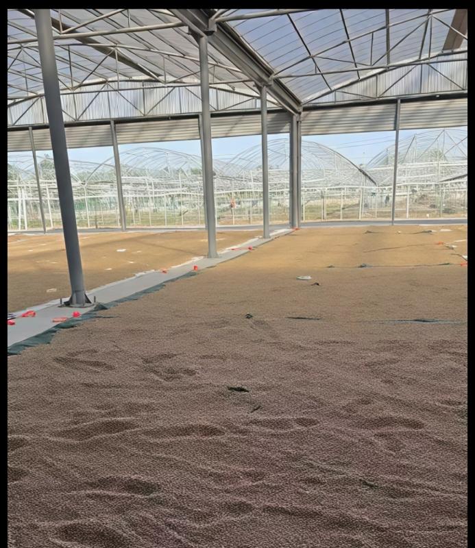 Verified China supplier - Guangzhou Lead You Seed Co., Ltd