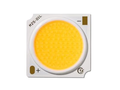 China Waterproof Chip LED COB 30W For Color Lighting ANSI Standard for sale