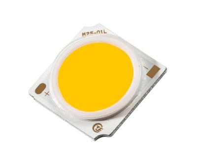 China 31W Integrated COB Chip LED Full Spectrum For Outdoor Decorative LED Floodlight for sale