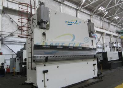 China White 300 Ton Press Brake High Precision Double Hydraulic Oil Cylinders for sale