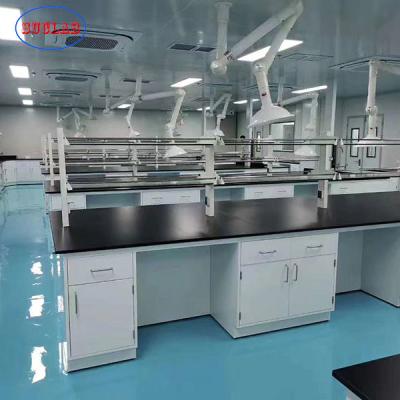 China Practical Chemistry Lab Furniture Multi Function Alkali Resistant for sale