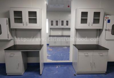 China School Science Laboratory / Lab Tables Acid Proof / Lab Workbench Supplier for sale