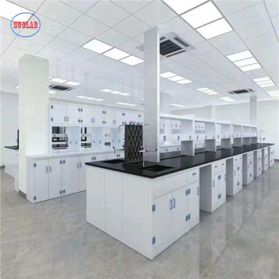 China Durable Alkali Resistant Chemistry Laboratory Furniture,Laboratory work bench With Pp Sink And Faucet for sale