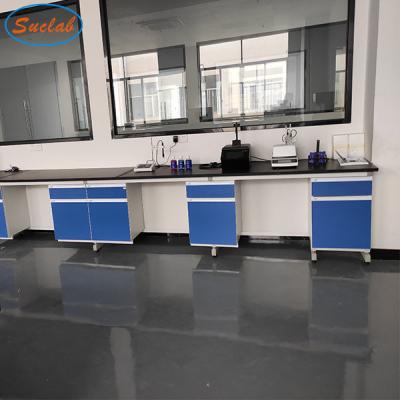 China Practical Wall Bench Laboratory Acid Resistant Multipurpose Antirust for sale