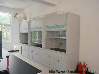 China Cheap Wholesales Chemical Bench Fume Hood For Lab Use From China Suppliers for sale