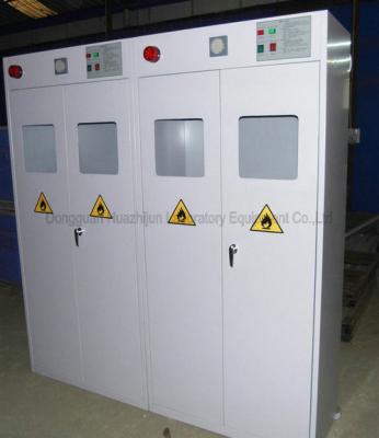 China Lab Gas Cabinet Company | Lab Gas Cabinet Supplier | Lab Gas Cabinet Price for sale