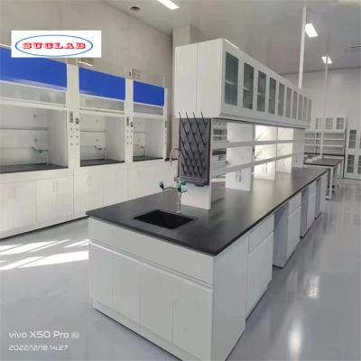 China Chemistry Lab Bench As Drawing Number of Holes and Hooks for Efficient Lab Management for sale
