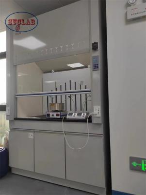 China Versatile Laboratory Fume Hood Chemical Fume Chamber for Different Research Applications en venta