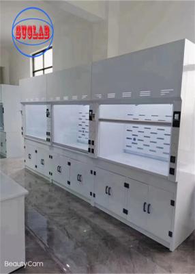 China 220V Chemical Fume Hood Lab Acid Fume Hood Wall Mounted with Horizontal Structure for sale